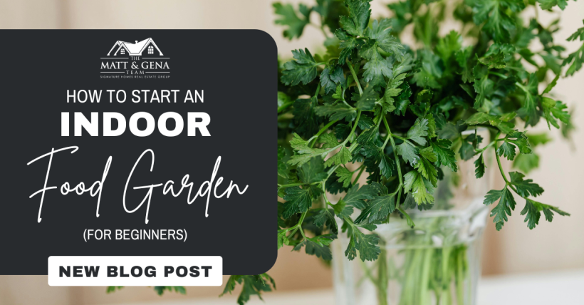 How to Start an Indoor Food Garden (for Beginners)